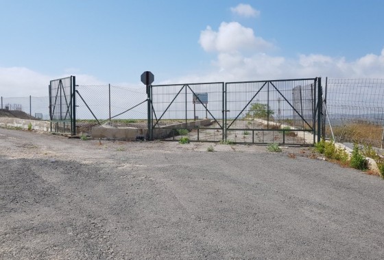 Sale - Finca Country Property -
Los Montesinos - LOS MONTESINOS
