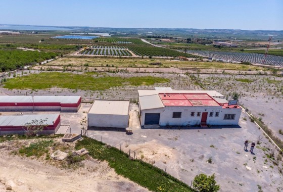 Sale - Finca Country Property -
Los Montesinos - LOS MONTESINOS