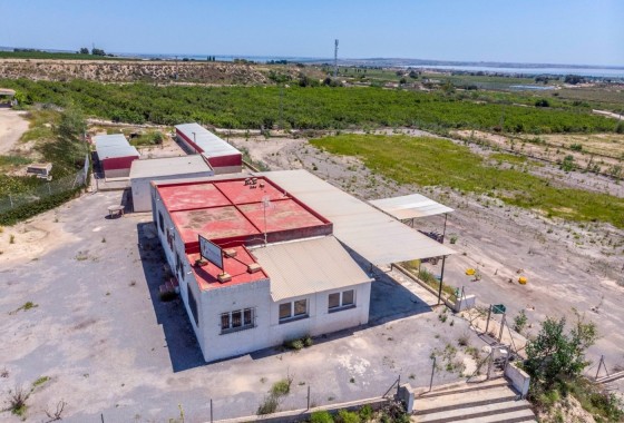 Sale - Finca Country Property -
Los Montesinos - LOS MONTESINOS