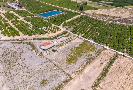Sale - Finca Country Property -
Los Montesinos - LOS MONTESINOS