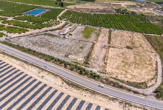 Sale - Finca Country Property -
Los Montesinos - LOS MONTESINOS