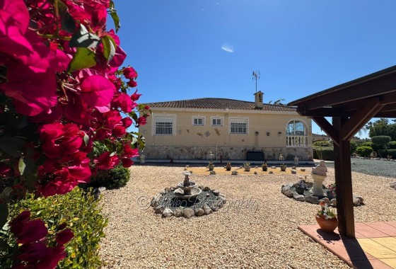 Herverkoop - Vrijstaande Villa -
Catral - CatralAlicanteValenciaSpain