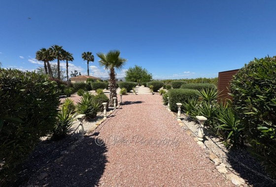 Herverkoop - Vrijstaande Villa -
Catral - CatralAlicanteValenciaSpain