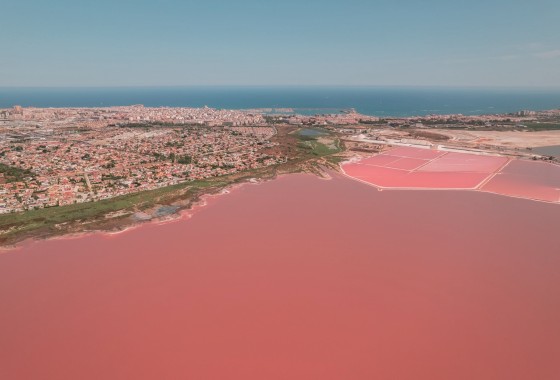 Obra Nueva - Bungalow alto -
Torrevieja
