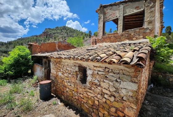 Herverkoop - Finca Landelijk pand -
Jalance