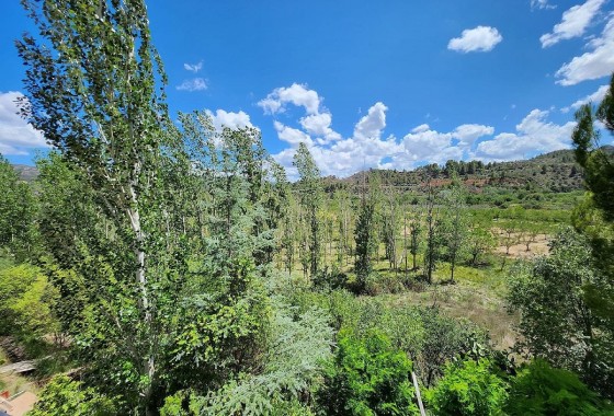 Herverkoop - Finca Landelijk pand -
Jalance