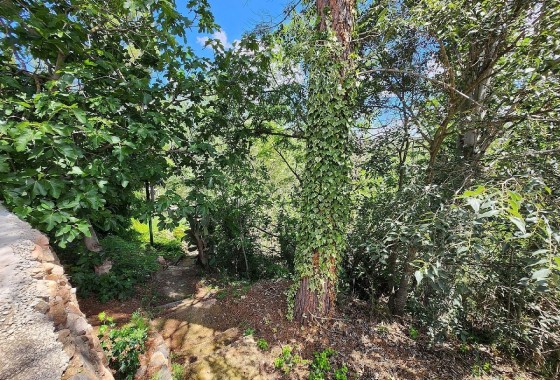 Herverkoop - Finca Landelijk pand -
Jalance