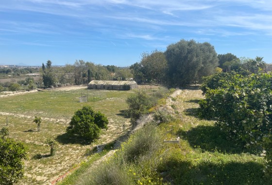 Resale - Doppelhaushälfte -
Guardamar del Segura - Valencian Community