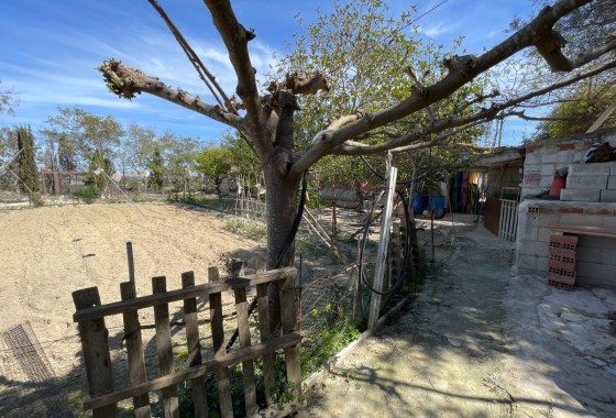 Resale - Doppelhaushälfte -
Guardamar del Segura - Valencian Community