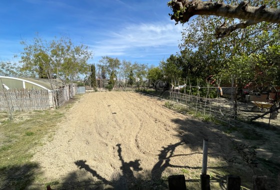 Resale - Doppelhaushälfte -
Guardamar del Segura - Valencian Community