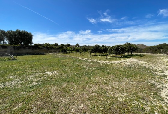 Resale - Doppelhaushälfte -
Guardamar del Segura - Valencian Community
