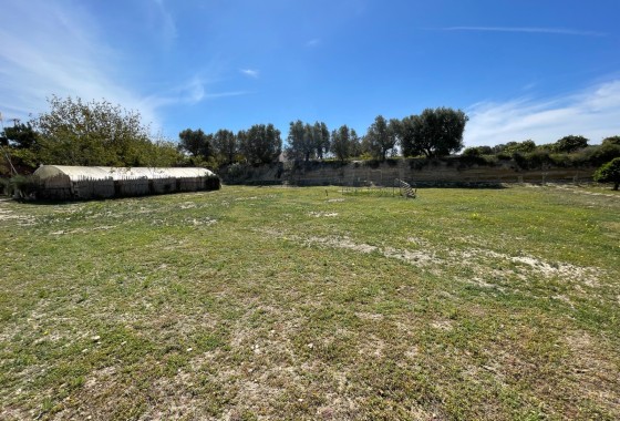 Resale - Doppelhaushälfte -
Guardamar del Segura - Valencian Community