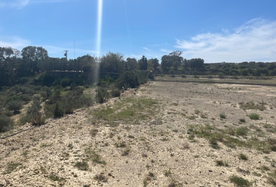 Resale - Doppelhaushälfte -
Guardamar del Segura - Valencian Community