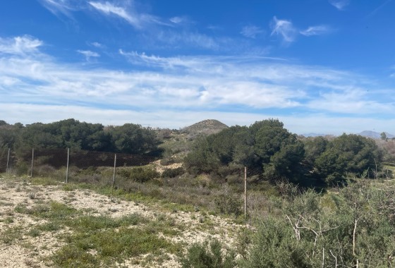 Resale - Doppelhaushälfte -
Guardamar del Segura - Valencian Community