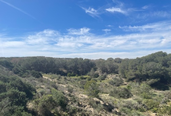 Resale - Doppelhaushälfte -
Guardamar del Segura - Valencian Community