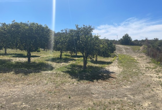 Resale - Doppelhaushälfte -
Guardamar del Segura - Valencian Community