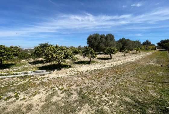 Resale - Doppelhaushälfte -
Guardamar del Segura - Valencian Community