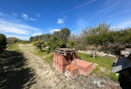 Resale - Doppelhaushälfte -
Guardamar del Segura - Valencian Community