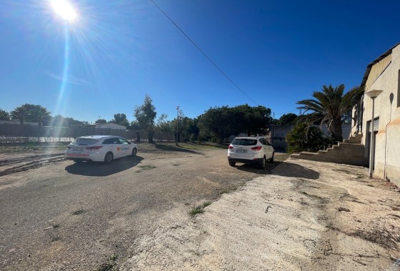 Revente - Finca Propriété rurale -
Elche