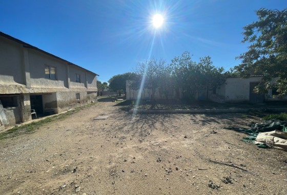 Revente - Finca Propriété rurale -
Elche