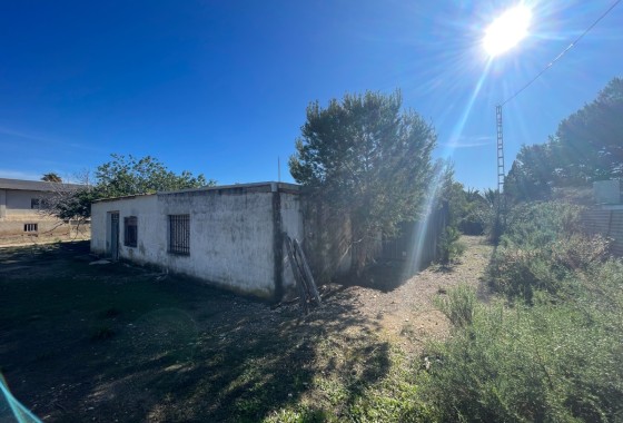Revente - Finca Propriété rurale -
Elche