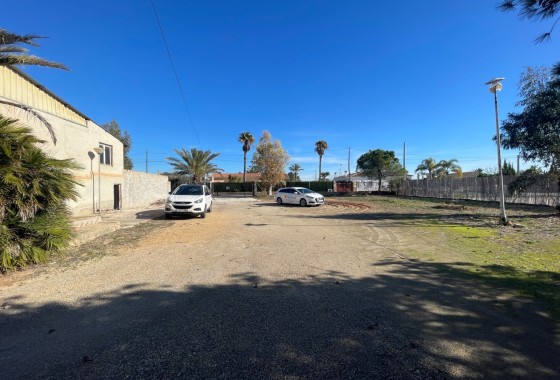 Revente - Finca Propriété rurale -
Elche