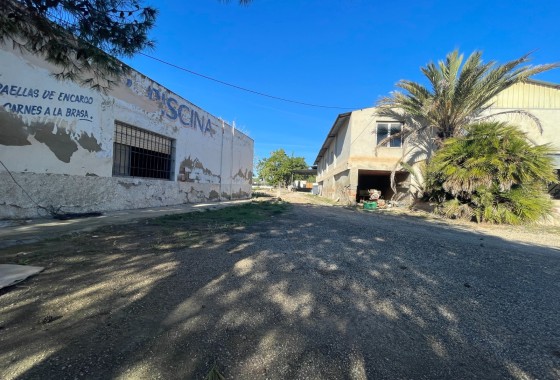 Revente - Finca Propriété rurale -
Elche