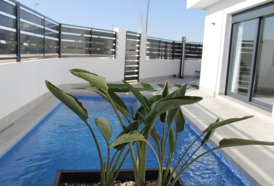 Nouvelle construction - Villa Individuelle -
Roldan - Roldán