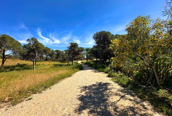 Sprzedaż - Dom miejski -
Guardamar del Segura