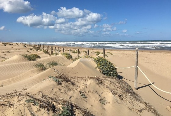 Sprzedaż - Dom miejski -
Guardamar del Segura