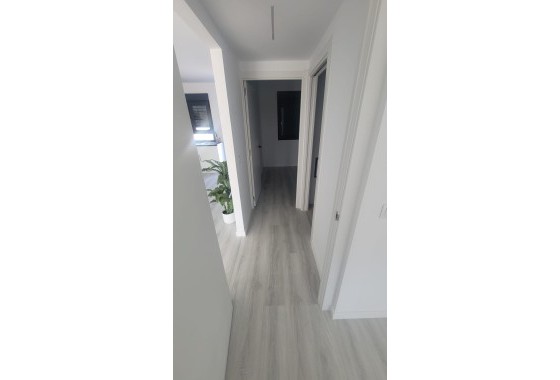 New Build - Detached Villa -
Salinas