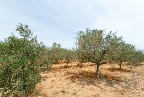 Herverkoop - Vrijstaande Villa -
Hondón de los Fráiles