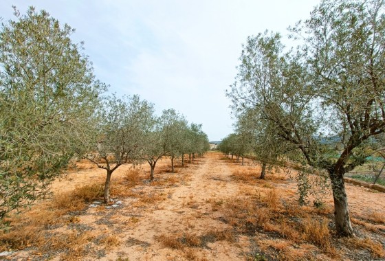 Herverkoop - Vrijstaande Villa -
Hondón de los Fráiles