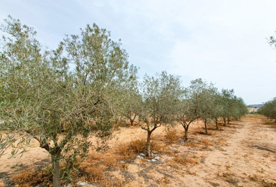 Herverkoop - Vrijstaande Villa -
Hondón de los Fráiles