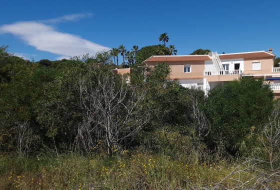 Revente - Parcelle Terrain -
Los Balcones - Los Altos del Edén - Los Balcones