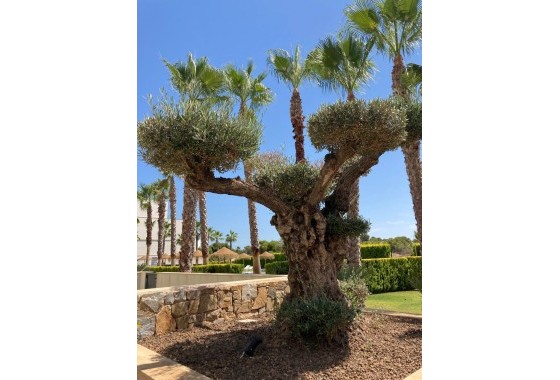Resale - Wohnung / Appartement -
Las Colinas - Las Colinas Golf