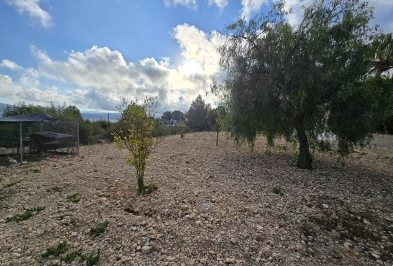 Sprzedaż - Willa wolnostojąca -
SAX