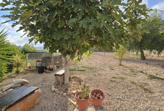 Sprzedaż - Willa wolnostojąca -
SAX