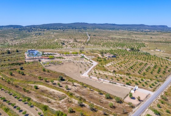 Revente - Villa Individuelle -
Torremendo