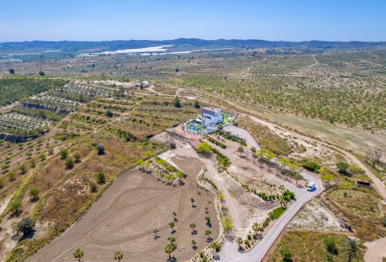 Revente - Villa Individuelle -
Torremendo