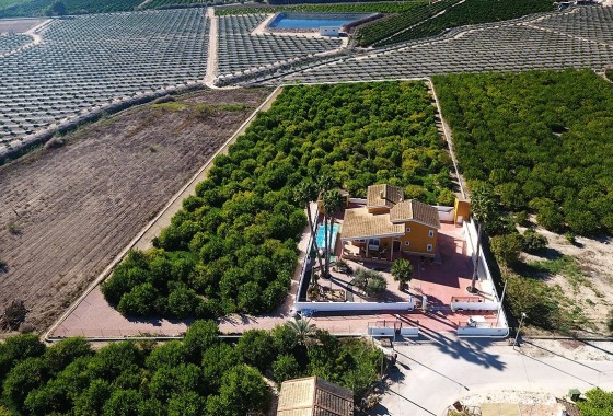 Sprzedaż - Finca / Dom wiejski -
Orihuela