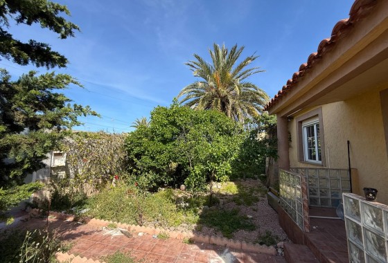 Sale - Villa -
Torrevieja - Playa de los Locos