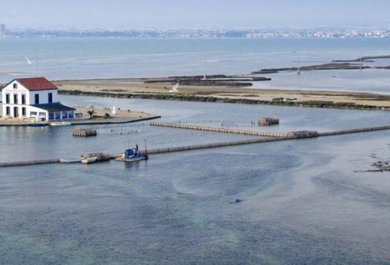 New Build - Wohnung / Appartement -
San Pedro del Pinatar - Pueblo