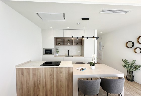 Nouvelle construction - Villa Individuelle -
Pilar de la Horadada - Torre de la Horadada