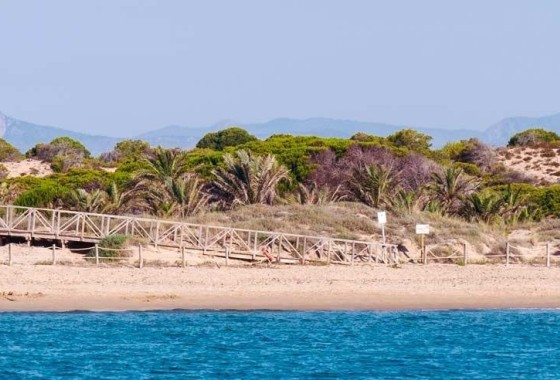 New Build - Wohnung / Appartement -
Guardamar del Segura - Pueblo