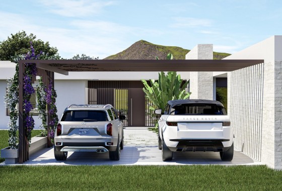 Obra Nueva - Chalet Independiente -
Pinoso - Lel