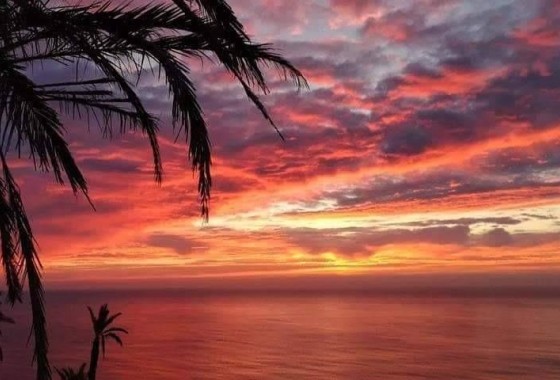 New Build - Apartment Flat -
Torrevieja - Altos del Sol