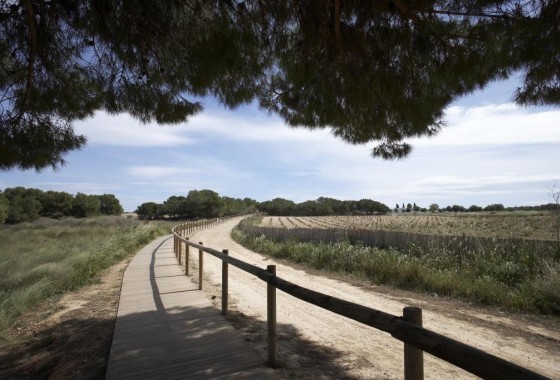 Obra Nueva - Apartamento / Piso -
Torrevieja - Altos del Sol