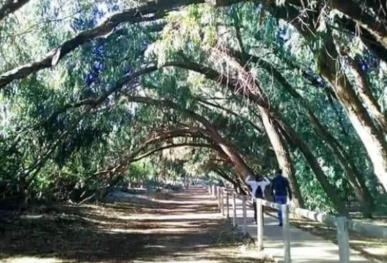 Obra Nueva - Apartamento / Piso -
Torrevieja - Altos del Sol