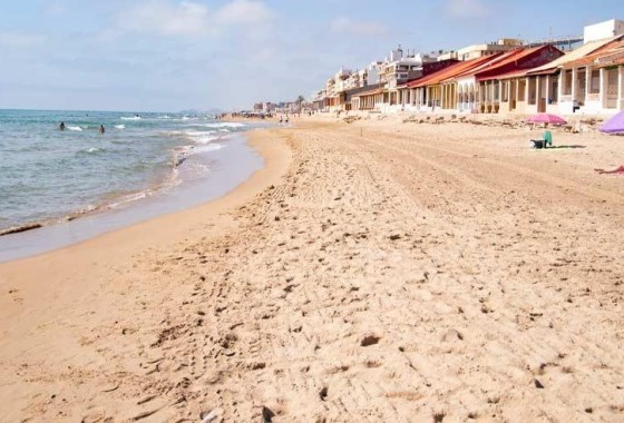 Obra Nueva - Apartamento / Piso -
Guardamar del Segura - Pueblo